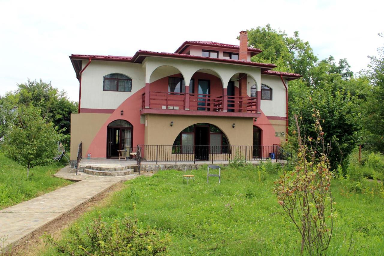 Hotel Anuta Breaza  Esterno foto