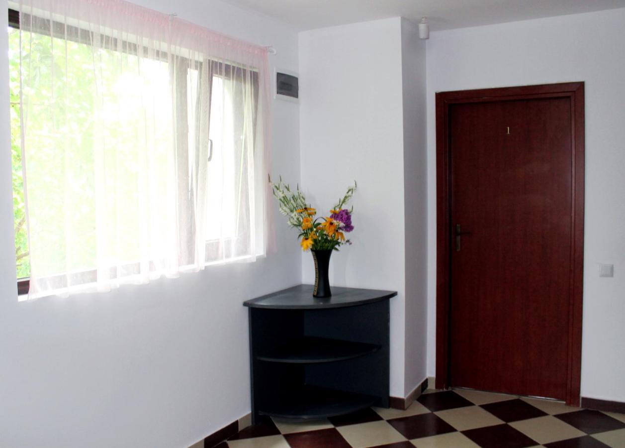 Hotel Anuta Breaza  Esterno foto